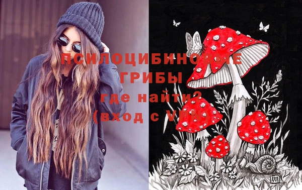 прущие крисы Корсаков