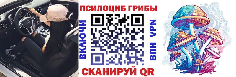 Псилоцибиновые грибы MAGIC MUSHROOMS Купить Вологда